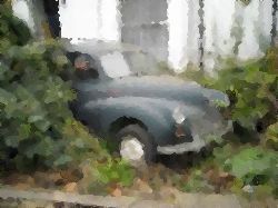 images.jpg
