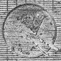 o06400640org.jpg